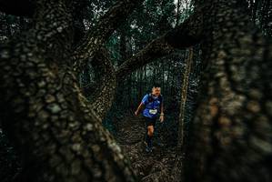 BIB: 
                            <button type="button" onclick="openModal(25680956)" class="btn btn-primary btn-sm float-right btn-popup" data-toggle="modal" data-target=".modal-high-quality">
                        <i class="fas fa-shopping-cart"></i> Add to Cart
                    </button>
                                            <button type="button" onclick="isThisMe(25680956, true)" class="btn btn-success btn-sm float-right btn-popup btn-isme hidden" data-toggle="tooltip" data-placement="bottom" title="นี่คือรูปของคุณใช่ไหม คลิกที่นี่เพื่อเอาเข้าอัลบั้ม">
                        <i class="fas fa-plus"></i> Add to album
                    </button>
                    <button type="button" onclick="isThisMe(25680956, false)" class="btn btn-warning btn-sm float-right btn-popup btn-isnotme hidden">
                        <i class="fas fa-ban"></i> Remove from album
                    </button>